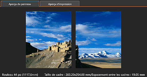 figure : Zone Aperçu (Habillage d'exposition)