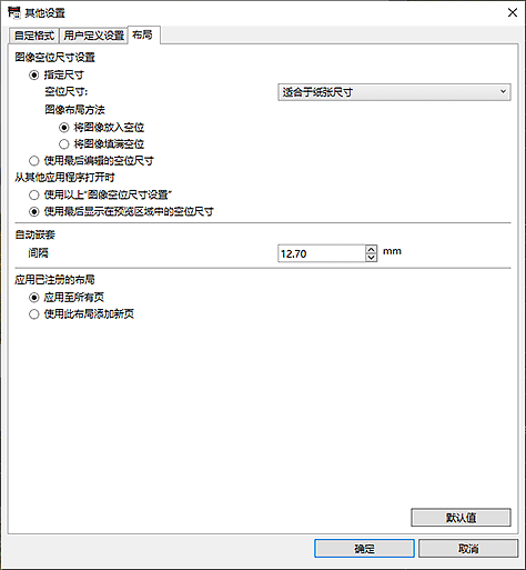 插图：“其他设置”对话框