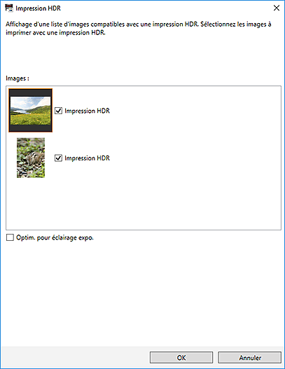 figure : Boîte de dialogue Impression HDR
