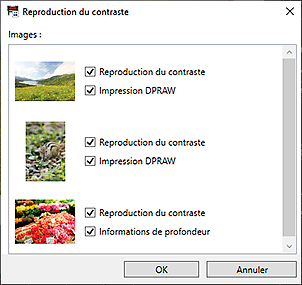 figure : Boîte de dialogue Reproduction du contraste