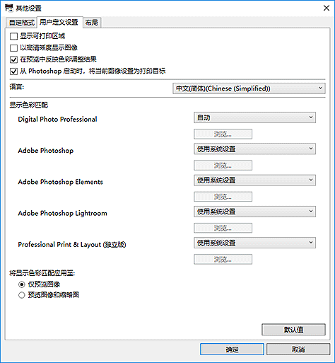 插图：“其他设置”对话框