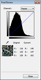 pav.: galutinės peržiūros dialogo langas