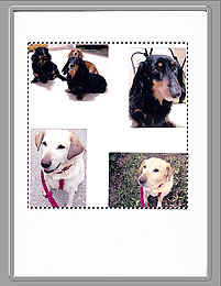 pav.: peržiūros sritis, kai pasirinktas viso vaizdo rodinys