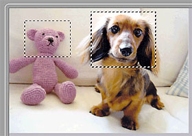 pav.: Viso vaizdo rodinys