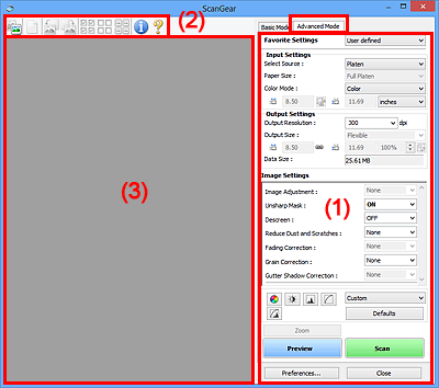 figure: Advanced Mode tab