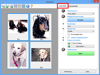 figure: Basic Mode tab