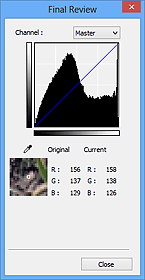 figure: Final Review dialog box