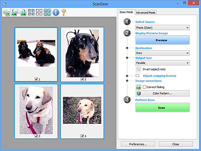 figure: Preview in Basic Mode tab
