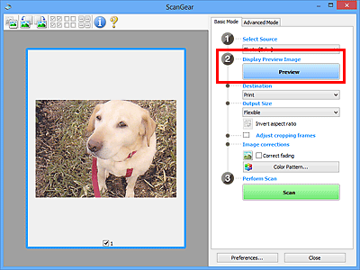 figure: Basic Mode tab