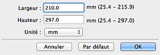 figure : boîte de dialogue Format personnalisé