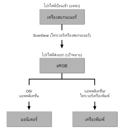 ภาพ: ไหลเวียนการจับคู่ของสี