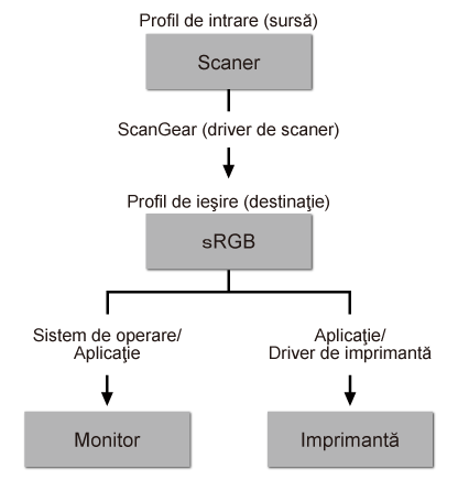 figura: Flux Potrivire culori