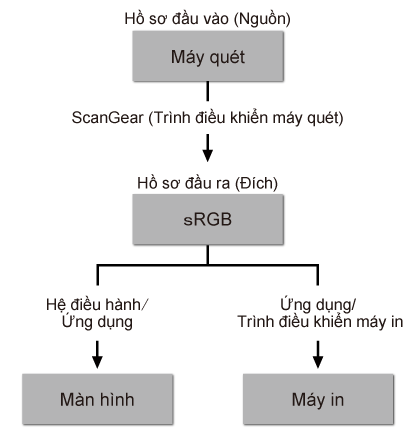 hình: Dòng Khớp màu