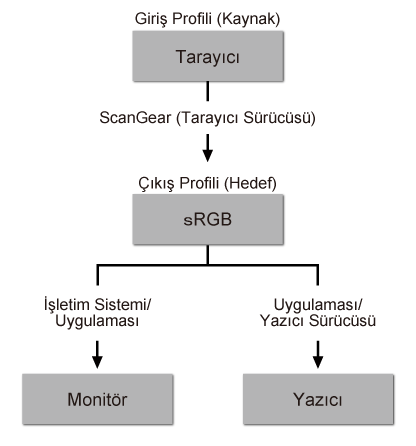 şekil: Renk Eşleştirme akışı