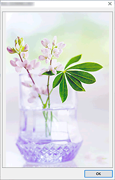 figur: skjermbildet Forstørret