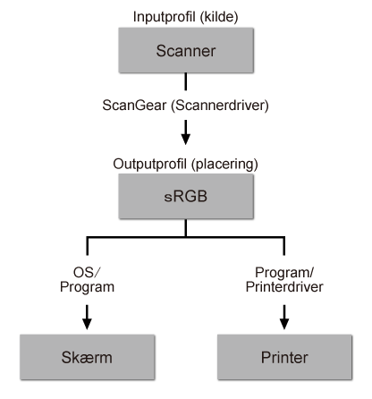 figur: Farvematchingforløb