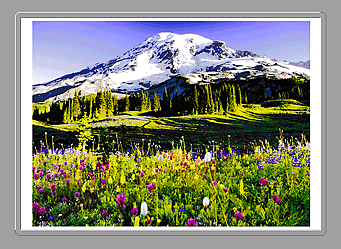 figure: Image Stitch window