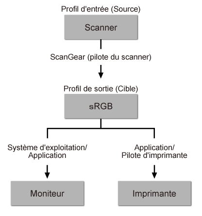 figure : flux du processus Correspondance des couleurs