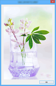 pav.: ekranas su padidintu rodiniu