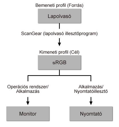 Ábra: A Színegyeztetés folyamata