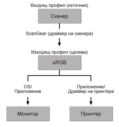 фигура: Последователност в съответствието на цветовете