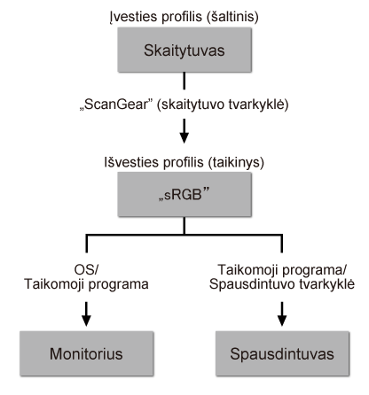 pav.: Spalvų sutapdinimo eiga