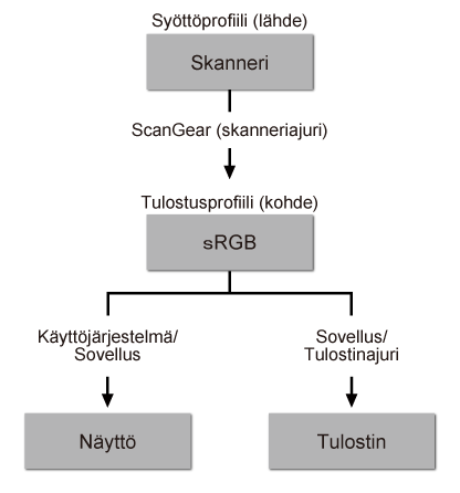 kuva: Värin sovitus -työnkulku