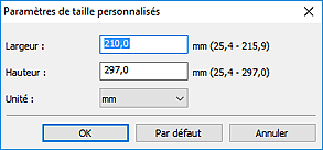 figure : boîte de dialogue Format personnalisé