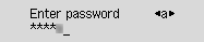 Enter password screen