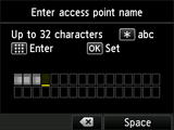 Access point name entry screen