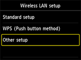 Wireless LAN setup screen: Select Other setup