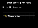 Access point name entry screen