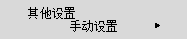 “其他设置”屏幕：选择“手动设置”