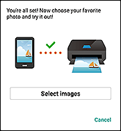 figure: Photo print prompt