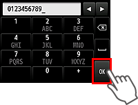 Eingabebildschirm für Gerät TEL
