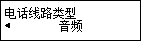 “电话线路类型”屏幕：选择“音频”