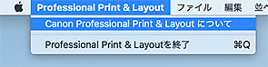 図：Professional Print & Layoutメニュー