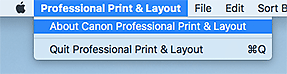 figure: Professional Print & Layout menu